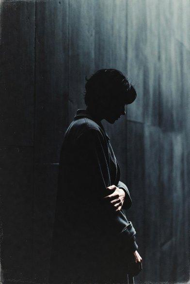 Résumé L’Œuvre au noir